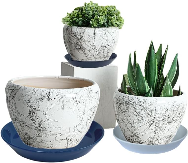 4 Pack of Plant Saucer, 5 inch Glazed Ceramic Plant Tray, Deep Drainage Tray for 4 Inch Flower Pot,Plant Dish Plate to Catch Water for Indoor & Outdoor