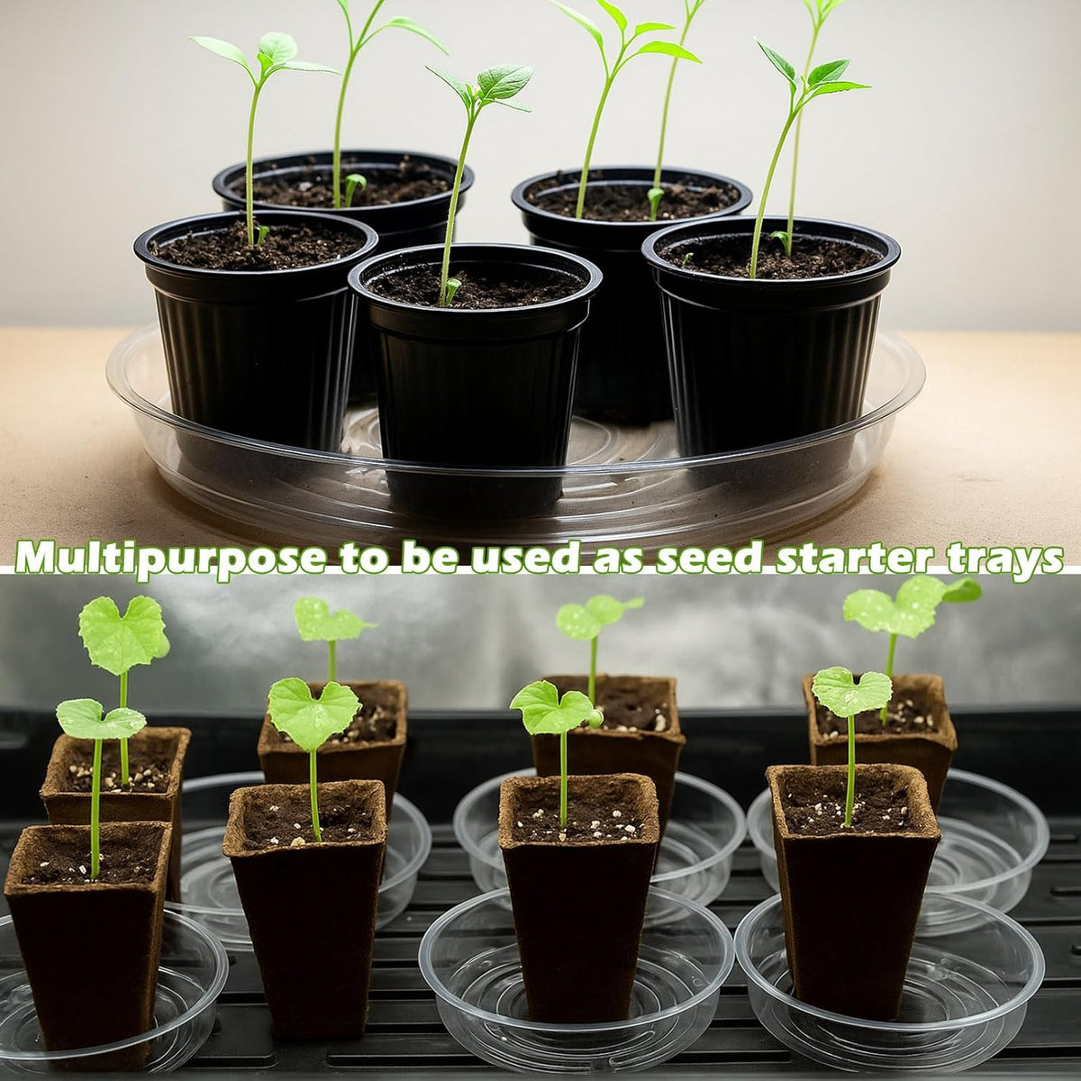 50 Packs 4" Small Clear Plant Saucers for Indoor Outdoor Use Heavy Duty Plastic Plant Trays for Planter Bulk Flower Pot Drip Trays to Catch Water, 4 to 20 Inch, Round Transparent