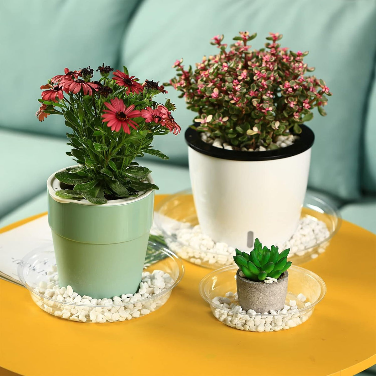16 Packs 6/8/10/12 Inches Large Clear Plant Saucers for Indoor Outdoor Use Heavy Duty Plastic Plant Trays for Planter Bulk Flower Pot Drip Trays to Catch Water, 4 to 20 Inch
