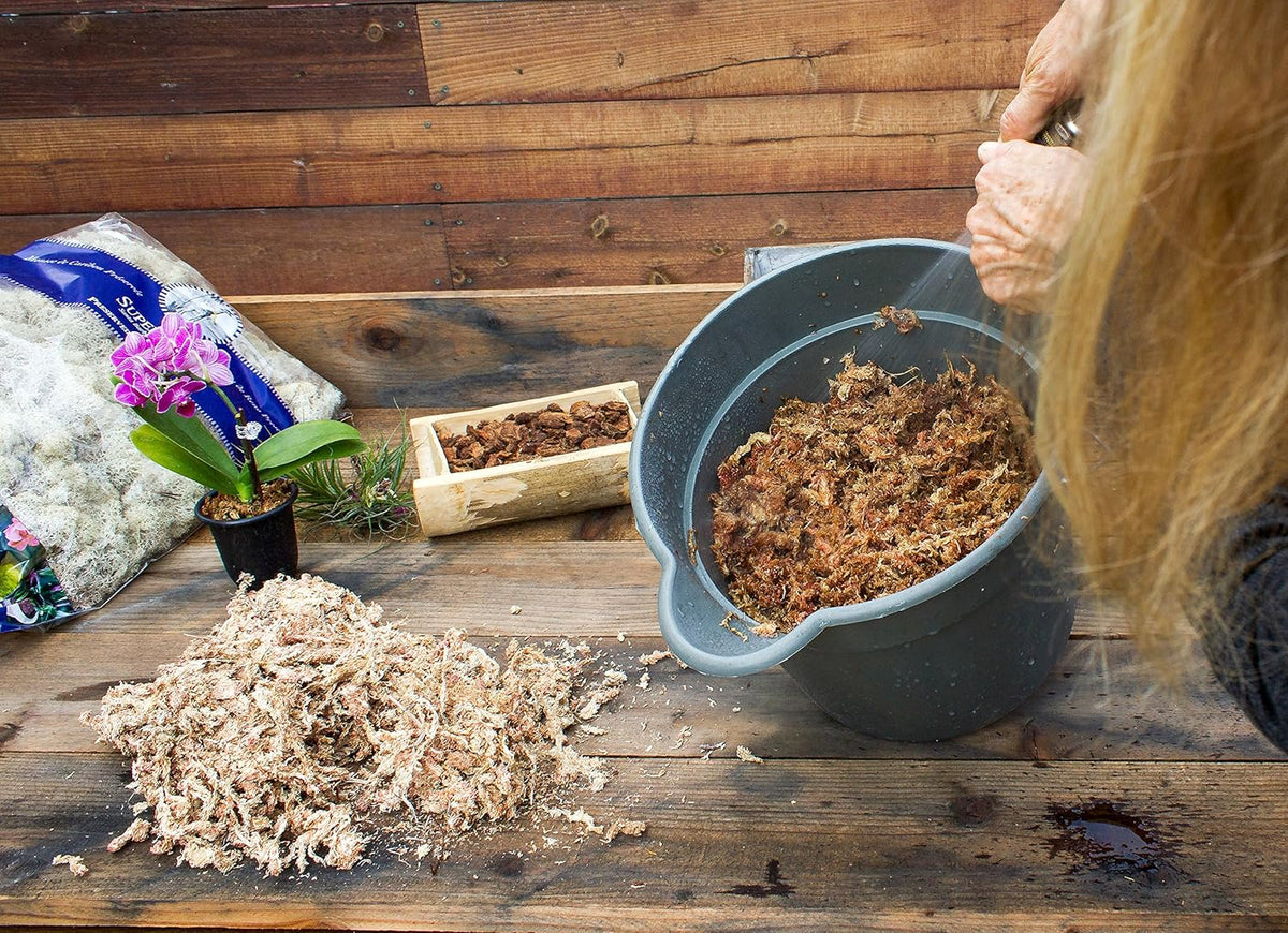 SuperMoss (22330) Orchid Sphagnum Moss Dried, Natural, 2.1lbs Small Bale