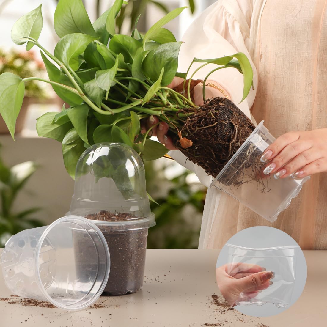 Transparent Nursery Pots 4Inch with Humidity Domes for Seeds Starting, Clear Plastic Plant Pots with Drainage Holes (4Inch, 30Pcs,Clear Pots with Lids)