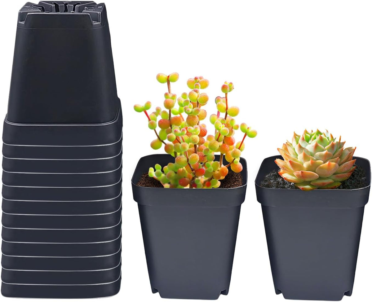 Square Nursery Pots 3.54Inches 90 Pcs Seedling Flower Post Plastic Thick Seed Start Germination for Plant Propagation,Sturdy Suit for 1020 Trays(Black,3.54Inches,90Pcs)