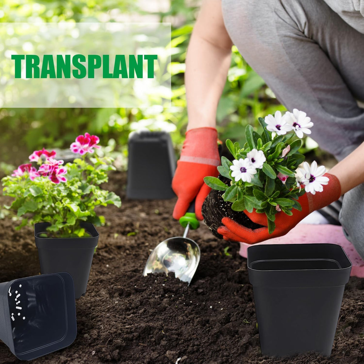 Square Nursery pots 4 Inches 60Pcs, Seedling Plastic Seeds propogation Growing Pots (Black,4Inches,60Pcs)