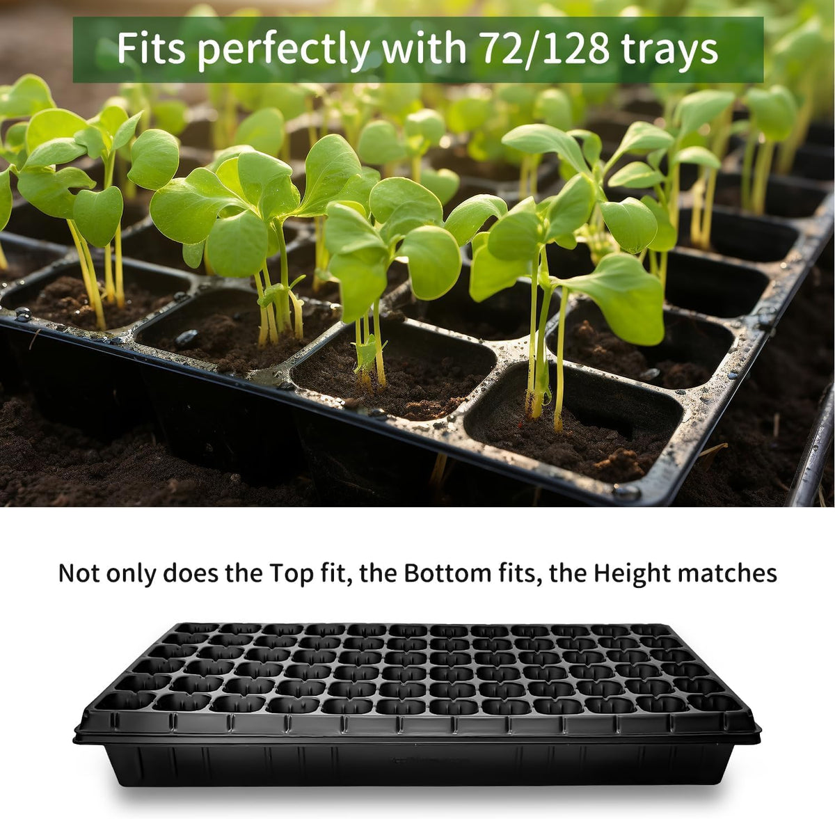 20 Pack Shallow 1020 Trays No Holes, Heavy Duty Reusable Seed Starter Flat Seedling Tray for 72/128 Cell Plug Tray, Transplant, Microgreen & Seed Germination (21"×11", 1.6" Deep, TD538)