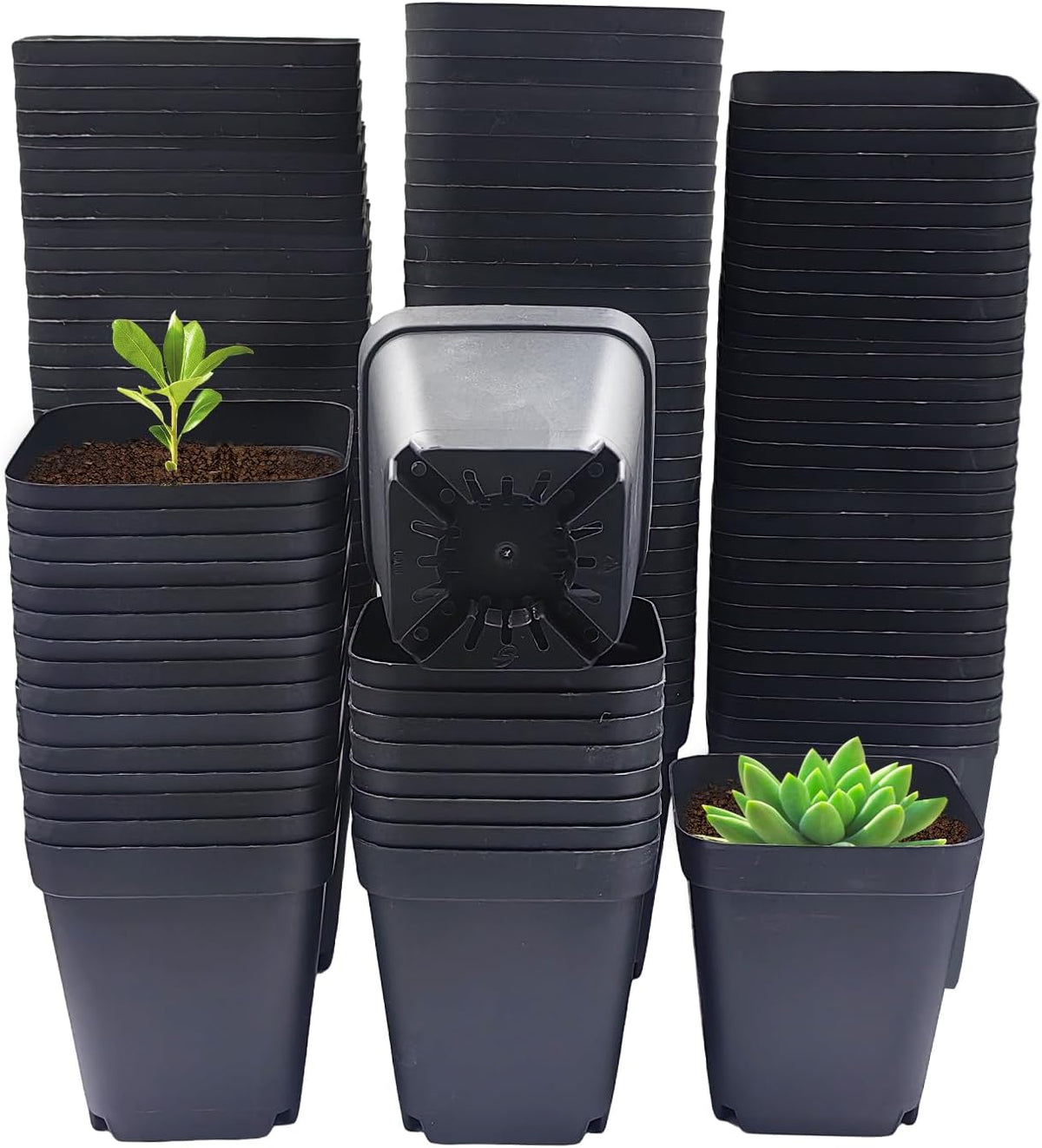 Square Nursery Pots 3" 120Pcs Deep Succulent Plastic Pots Small Flower Planter Seeds Starter Germination Pots with Drainage (Black,2.7Inches,120Pcs)