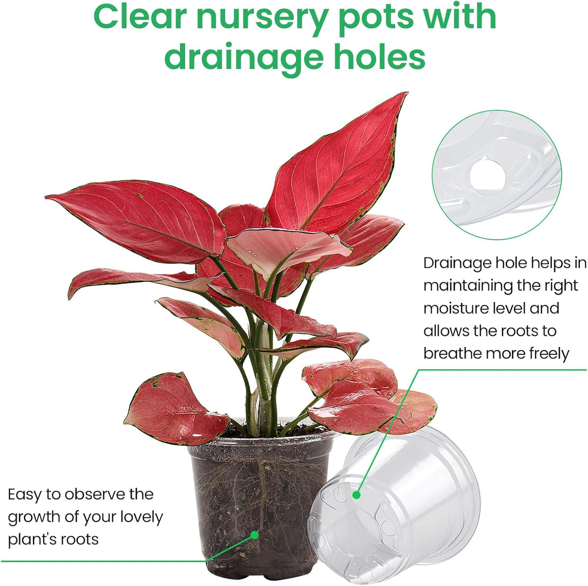 36 Packs 5/4/3.5 Inch Reinforced Clear Nursery Pots with Drainage Hole, Transparent Variety Pack Plastic Plant Pot Seedling Planter Seed Starter Flower