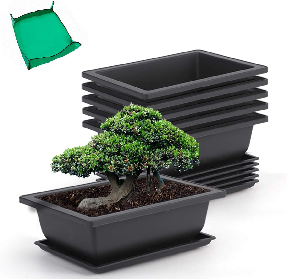 GROWNEER 6 Pack 9 Inch Bonsai Pots with Drainage Humidity Trays, Bonsai Tree Training Kits with 1 Repotting Mat, Rectangle Planter Plants Container Growing Pot for Garden Outside Indoor