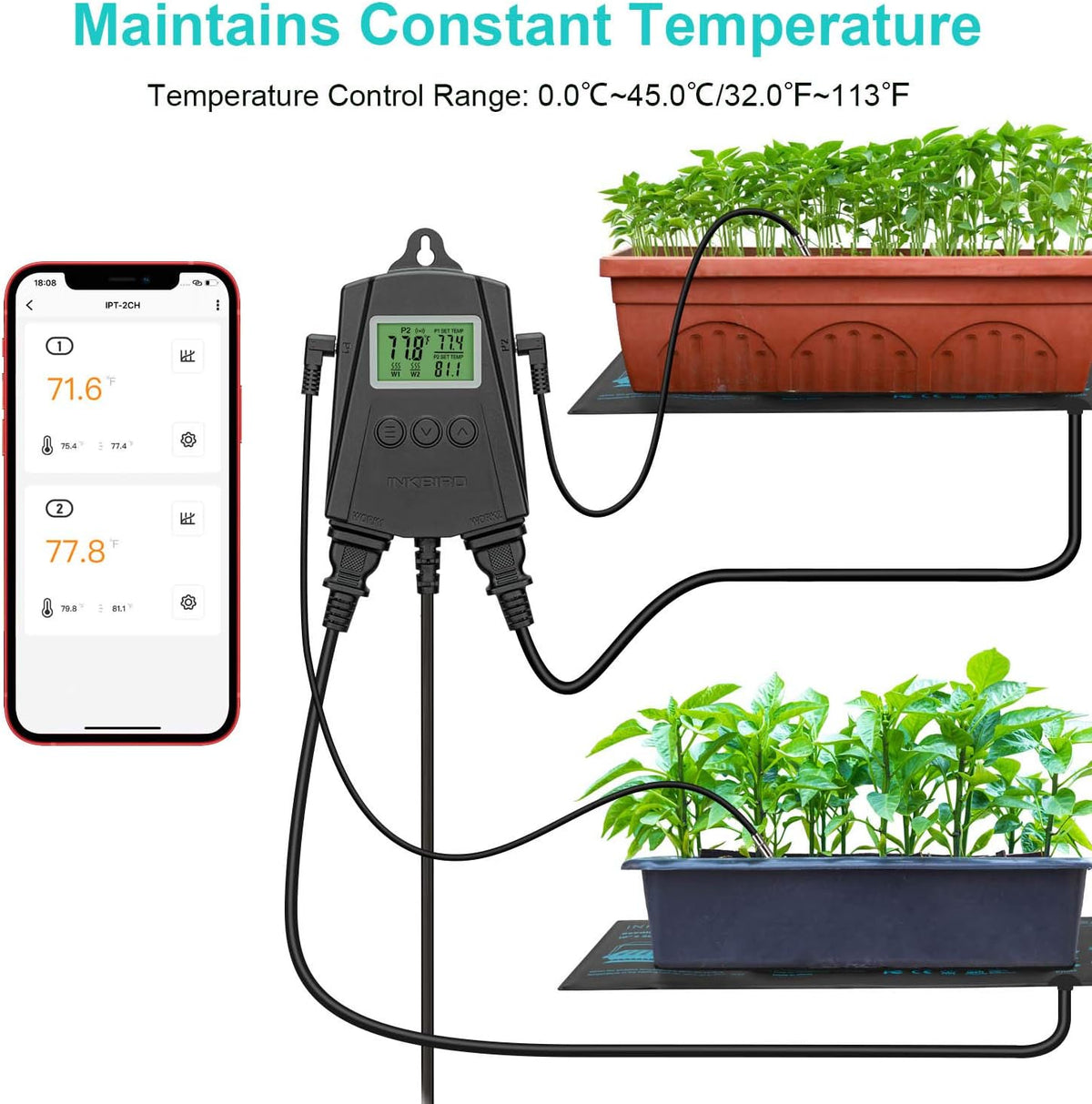 Inkbird WiFi Heat Mat Reptile Thermostat Controller Temperature Controller with 2 Probes and 2 Outlets, IPT-2CH Reptiles Heat Mat Thermostat (Max 250W per Outlet)