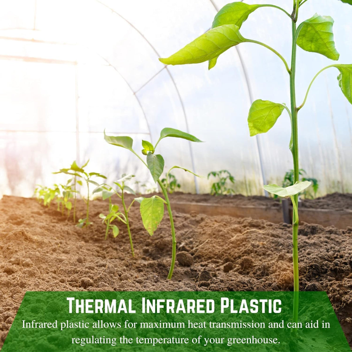 Farm Plastic Supply - Clear Coolmax Greenhouse Plastic Sheeting - 6 Mil - 4 Year UV Resistant Infrared Anti-Condensate Green House Covering Thermal Greenhouse Plastic 6 mil (24' x 20')