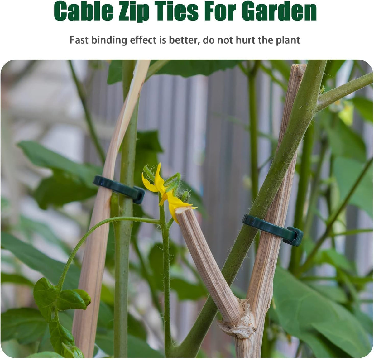 6 Inch Garden Green Zip Tie 1000 PCS, 18 Lbs - Small to Medium Zip Tie, Nylon PA66 UV Resistant Cable Tie for Indoor and Outdoor Use - Ideal for bundling and securing objects
