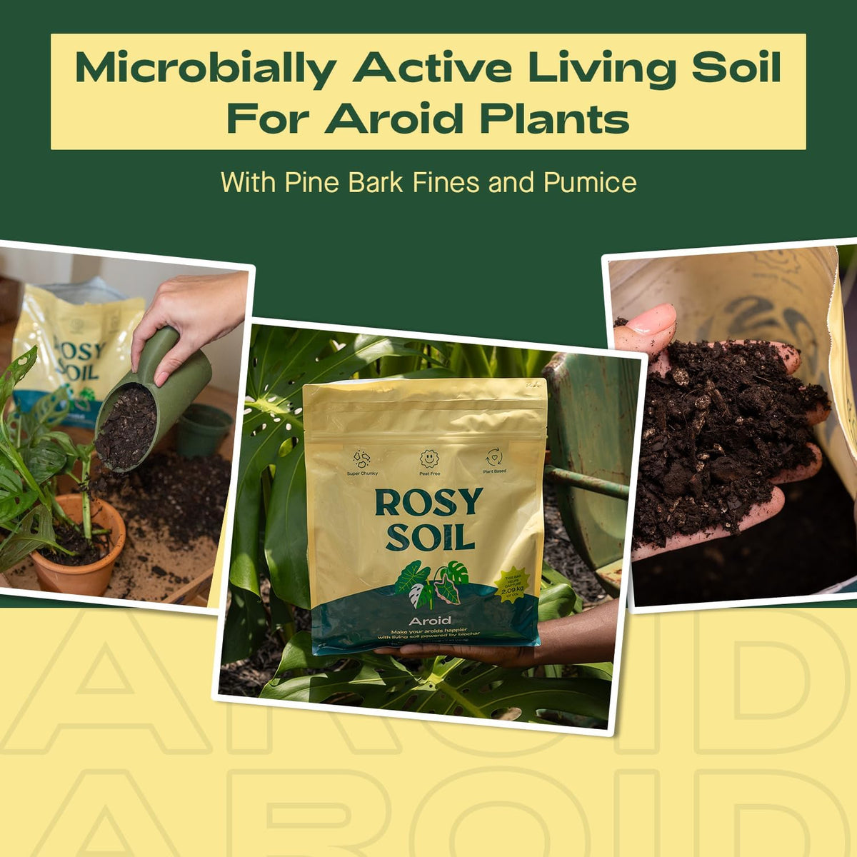 Rosy Soil Aroid Soil Potting Mix - Peat-Free, Microbially Active Biochar Powered Soil for Aroids - Superior Aeration & Drainage for Aroid Plants - Ideal for Indoor Gardening - 4 Quarts