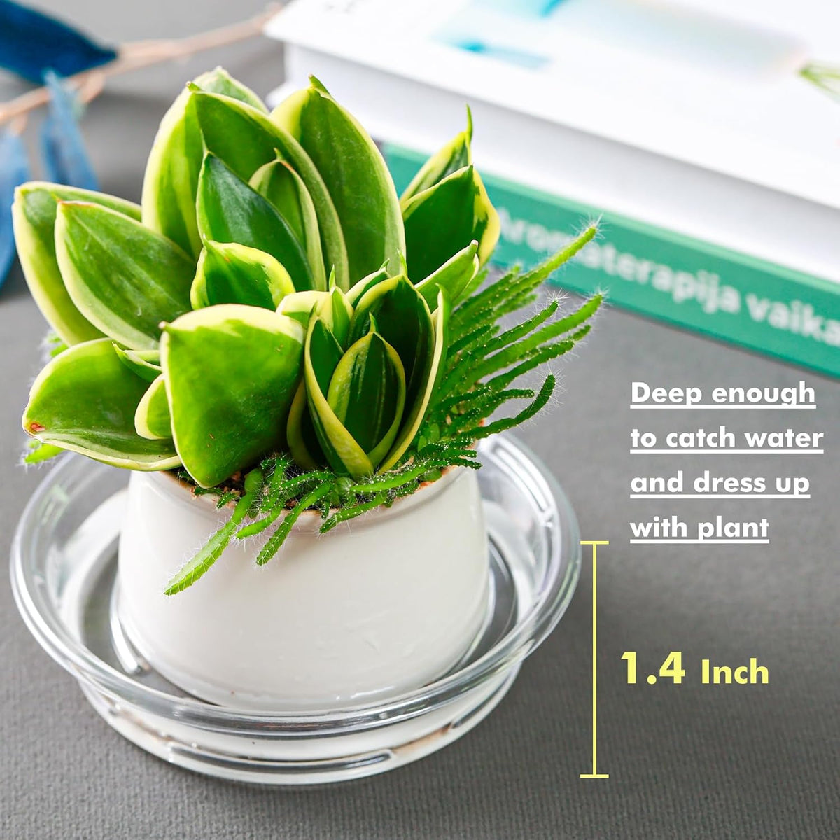 Plant Saucer 30 Pack Plant Trays for Pots 4 Inch Plastic Plant Saucers for Outdoors and Indoors Clear Drip Trays for Potted Plants Flower Pot Plates to Catch Water Plant Drainage Dishes No Holes
