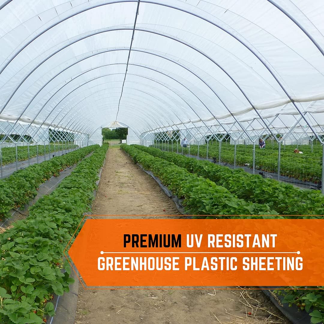 Farm Plastic Supply - Clear Greenhouse Plastic Sheeting - Ultra Durable - 8 mil - (50' x 15') - 4 Year UV Resistant Polyethylene Greenhouse Film for Gardening, Farming, Agriculture