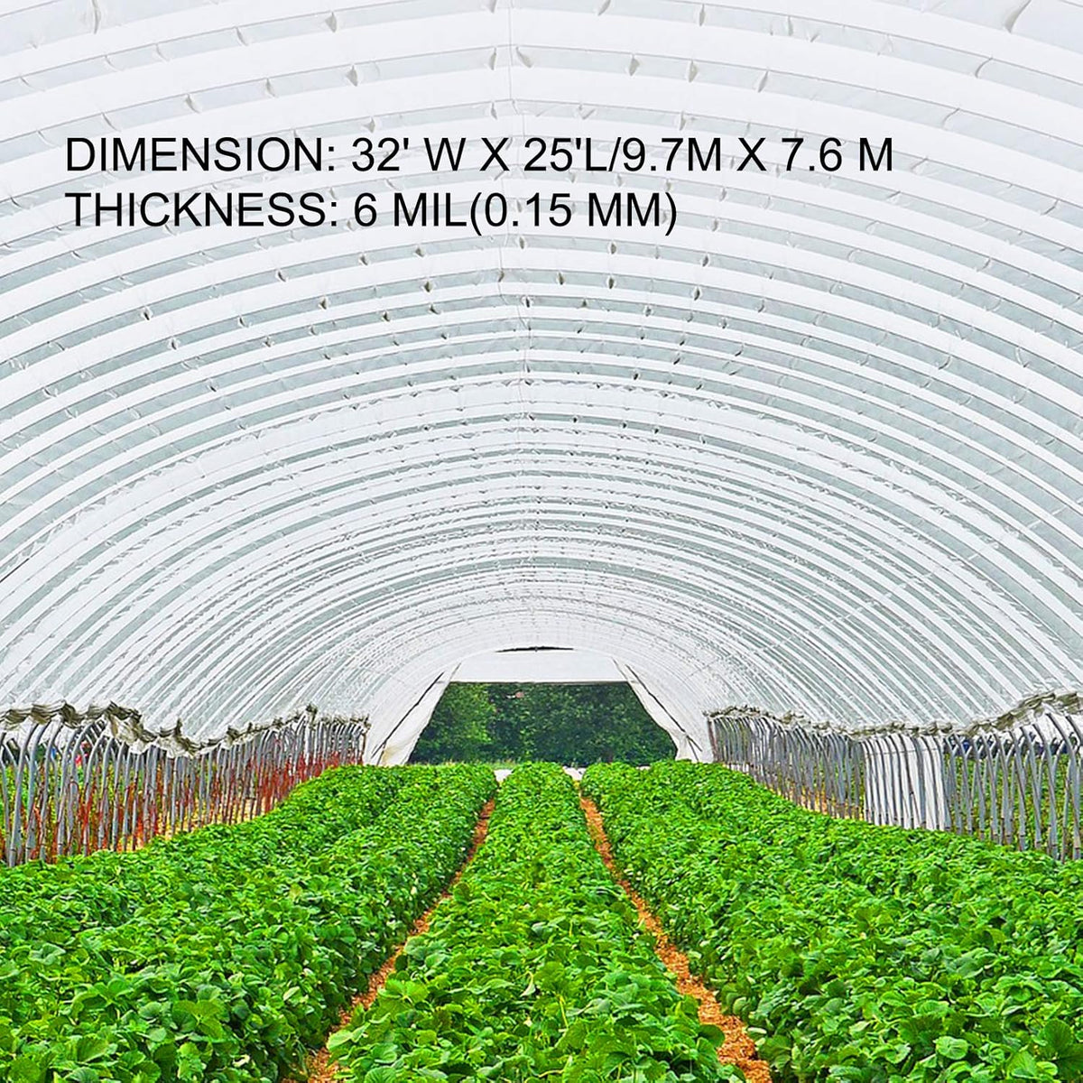 VEVOR Greenhouse Plastic Sheeting 32 x 25 ft, 6 Mil Thickness UV Resistant Clear Polyethylene Film, Hoop Green House Cover for Farms, Agriculture, Garden