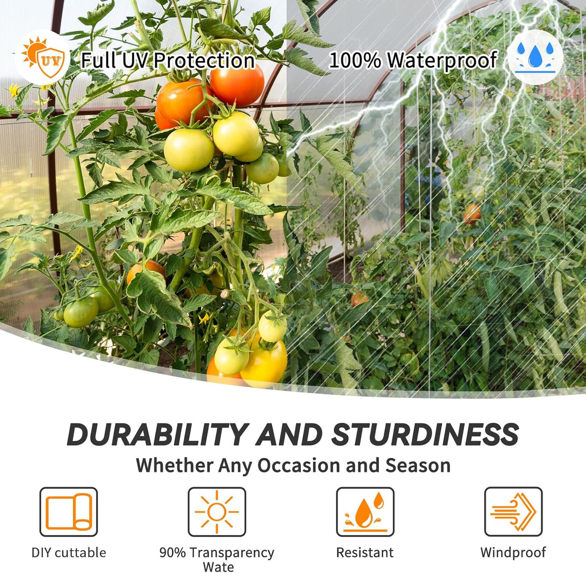 12x50 Ft Clear Greenhouse Film Plastic Sheeting, Greenhouse Polyethylene Plastic Film 6 mil Thickness Replacement Cover, UV Resistant, Plant Covers Freeze Protection for Windproof Frost& Dust Proof