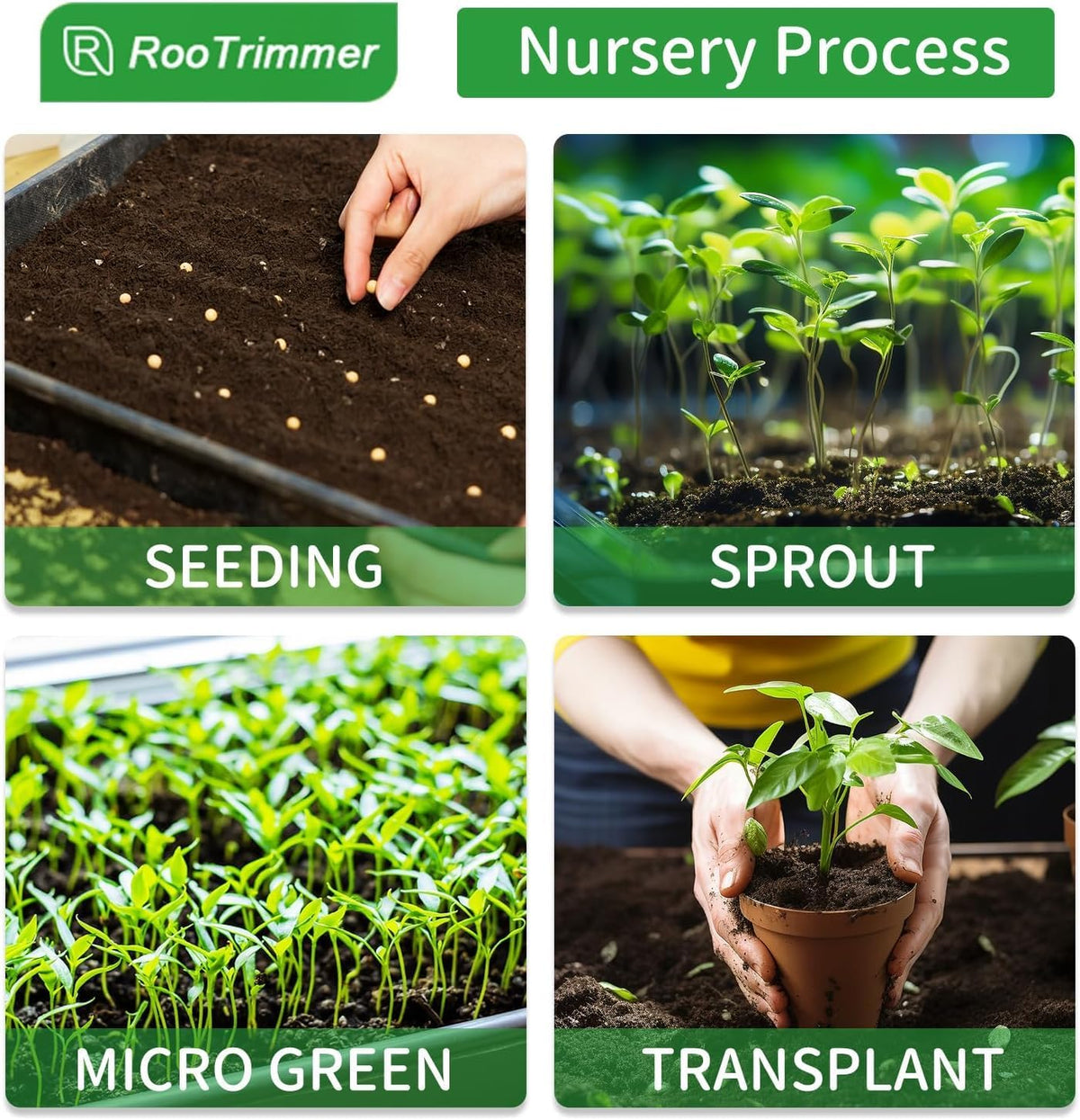 20 Pack Shallow 1020 Trays No Holes, Heavy Duty Reusable Seed Starter Flat Seedling Tray for 72/128 Cell Plug Tray, Transplant, Microgreen & Seed Germination (21"×11", 1.6" Deep, TD538)