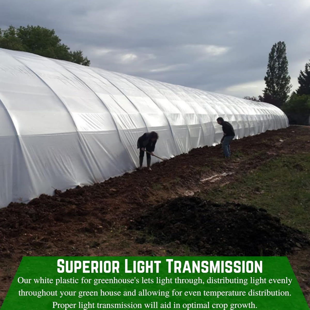 Farm Plastic Supply - String Reinforced 4 Year UV Resistant 10 mil White Greenhouse Plastic Sheeting - 4 Year UV Resistant Polyethylene Greenhouse Film, Hoop House Green House Cover (16' x 20')