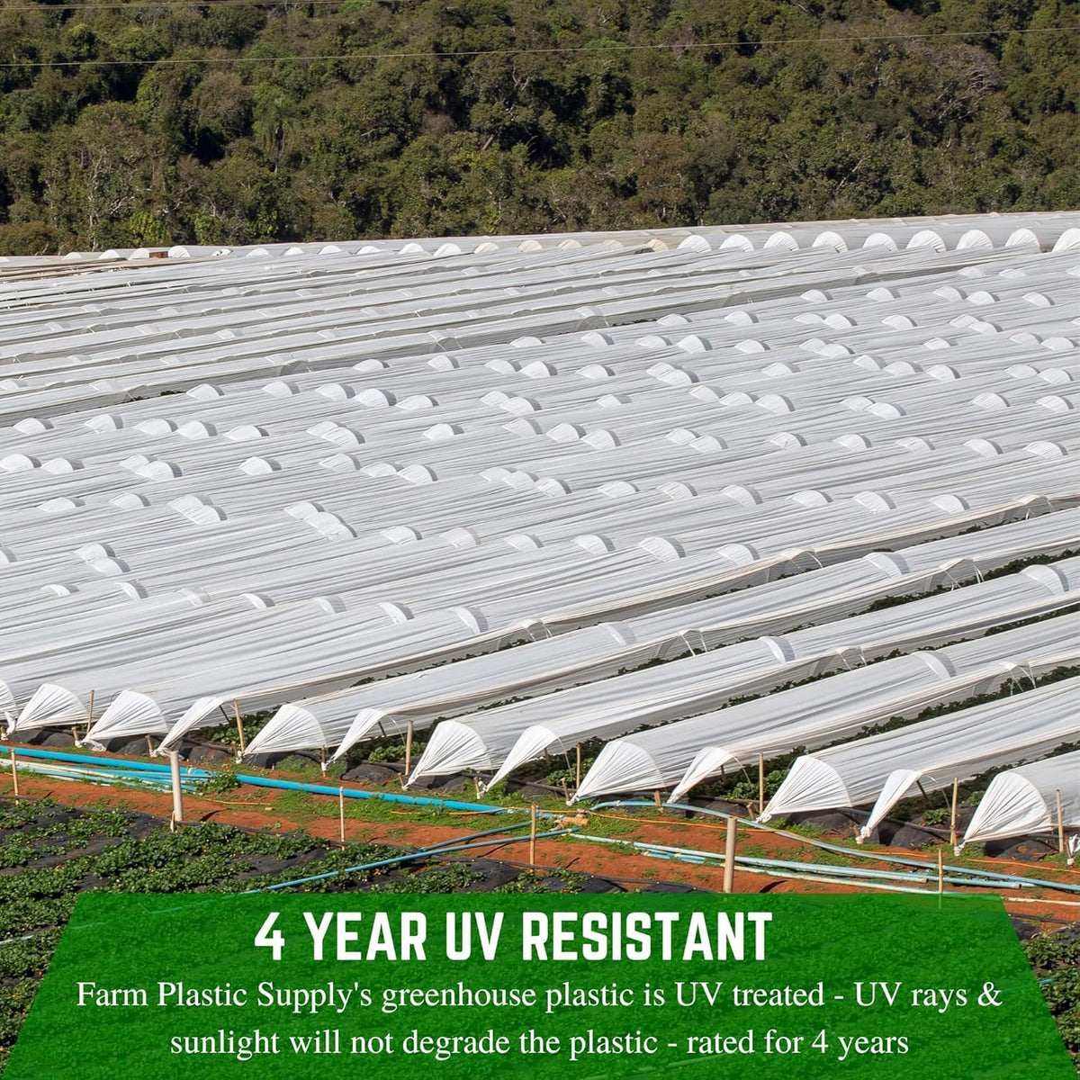 Farm Plastic Supply - String Reinforced 4 Year UV Resistant 10 mil White Greenhouse Plastic Sheeting - 4 Year UV Resistant Polyethylene Greenhouse Film, Hoop House Green House Cover (16' x 50')