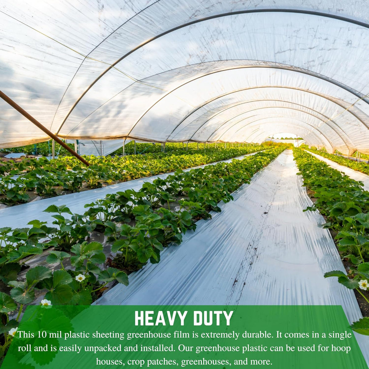 Farm Plastic Supply - String Reinforced 4 Year UV Resistant 10 mil Clear Greenhouse Plastic Sheeting - 4 Year UV Resistant Polyethylene Greenhouse Film, Hoop House Green House Cover (60' x 25')
