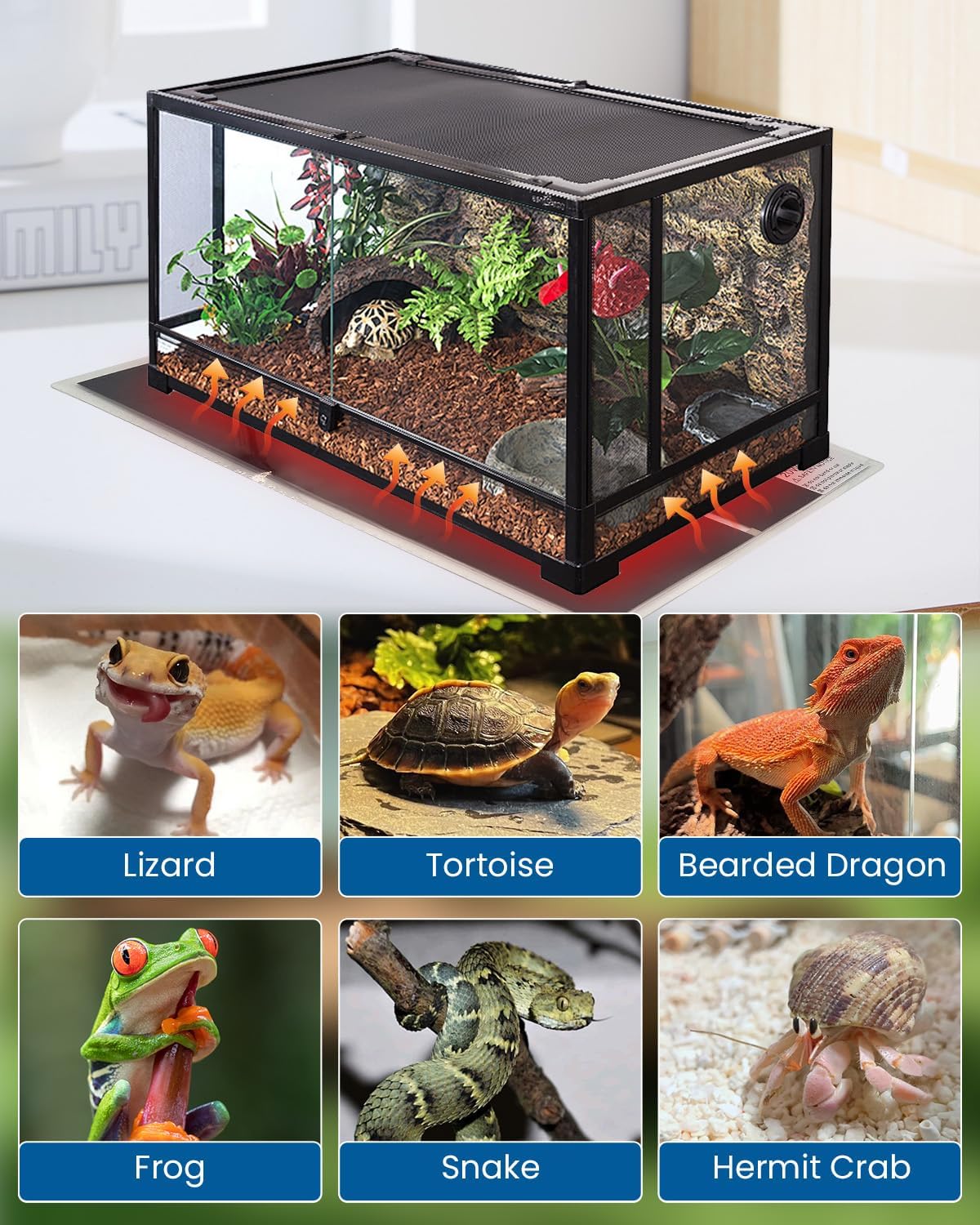 MQ Reptile Terrarium Heat Pad with LCD Digital Aquarium Thermometer, 11 x 16.5in Power Adjustment Under Tank Heater Mat for Pets, Small Animals, Seedling, 20W