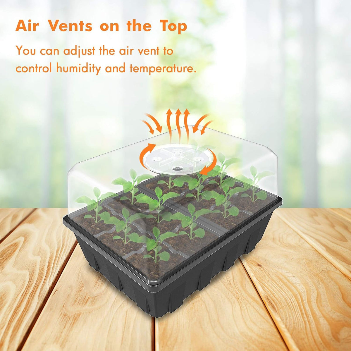 Gardzen 10 Pack Seed Starting Tray, Plant Germination Trays, Seed Starter Kit with Adjustable Humidity Vented Dome, Plant Growing Kit 6.6" x 4.5", Total 120-Cell, Clear
