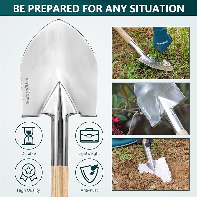 Berry&Bird Short Hand Shovel, 19.8’’ Digging Trowel for Gardening with Wood Handle Stainless Steel Round Point Spade Shovel with Serrated for Cutting, Transplanting & Weeding