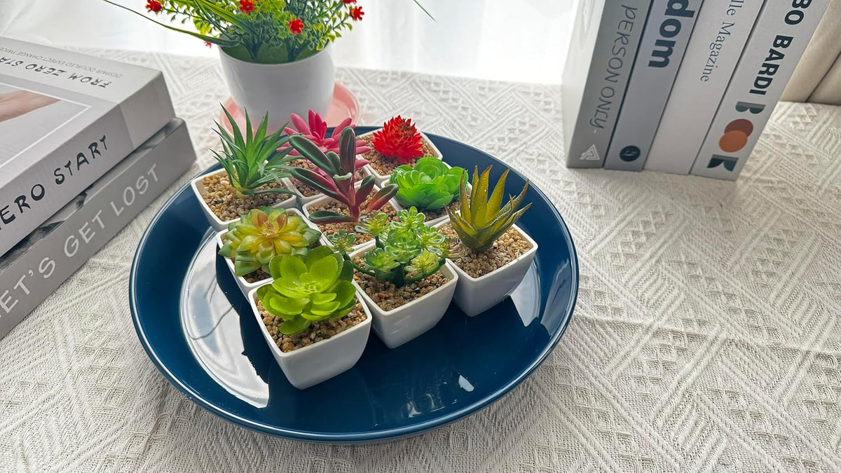 Plant Saucers 12 Inch (12.7 Inch) Plant Trays, Durable Round Glazed Ceramic Flower Plant Water Drip Tray for Pots Planter