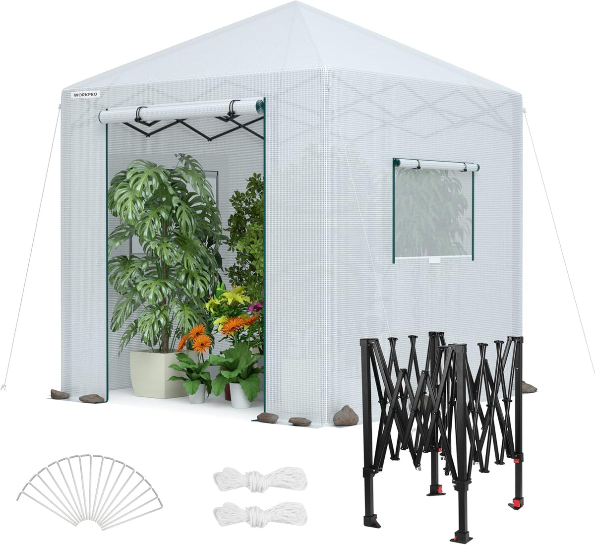 WORKPRO Greenhouse, 94”x 94”x 99” Pop-up Greenhouse for Outdoors , Heavy Duty Gardening House with Sturdy PE Cover, Roll-up Entry Doors and 2 Screen Windows, for Patio, Backyard, Balcony