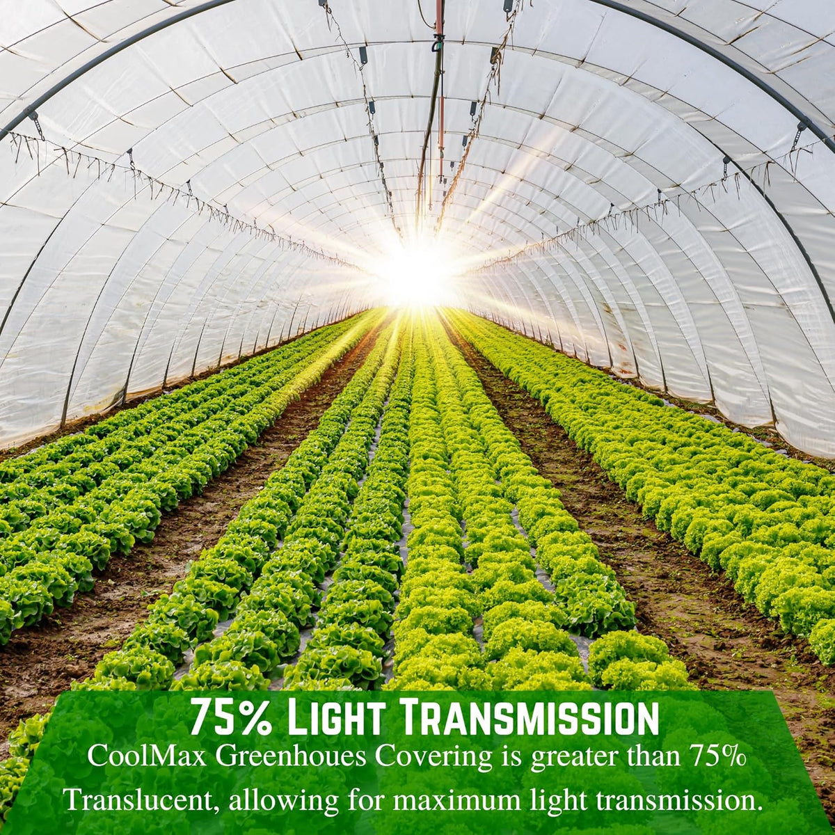 Farm Plastic Supply - Clear Coolmax Greenhouse Plastic Sheeting - 6 Mil - 4 Year UV Resistant Infrared Anti-Condensate Green House Covering Thermal Greenhouse Plastic 6 mil (40' x 60')