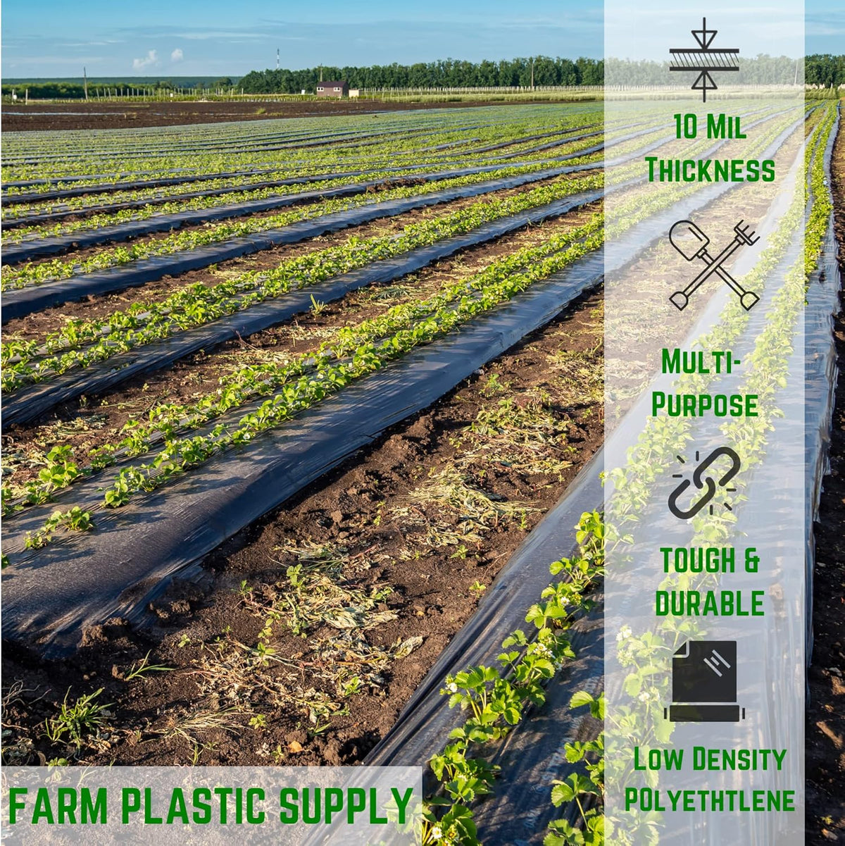 Farm Plastic Supply - Black Plastic Sheeting - 10 mil - (20' x 100') - Black Plastic Tarp, Polyethylene Vapor Barrier Plastic Sheeting, Painters Tarp, Roll of Heavy Duty Plastic