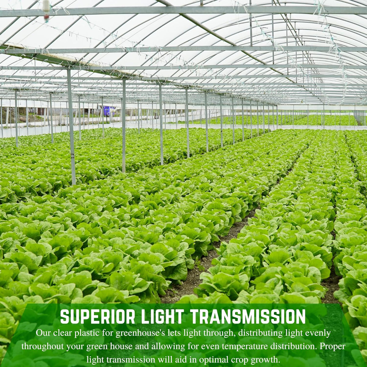 Farm Plastic Supply - String Reinforced 4 Year UV Resistant 10 mil Clear Greenhouse Plastic Sheeting - 4 Year UV Resistant Polyethylene Greenhouse Film, Hoop House Green House Cover (32' x 25')