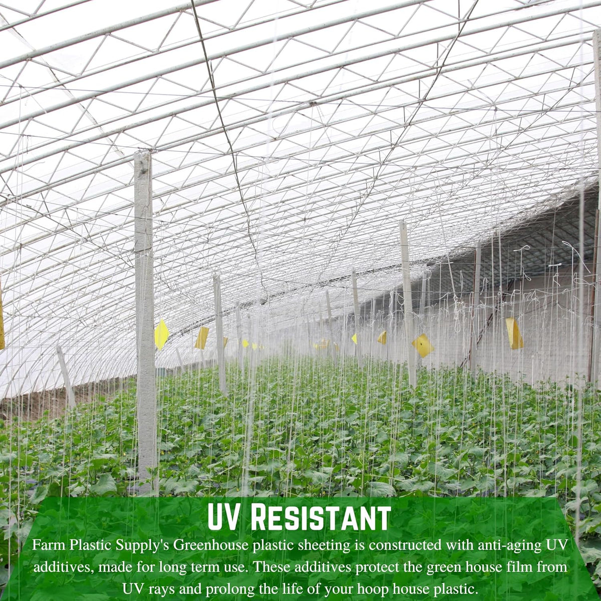 Farm Plastic Supply - String Reinforced 4 Year UV Resistant 10 mil Clear Greenhouse Plastic Sheeting - 4 Year UV Resistant Polyethylene Greenhouse Film, Hoop House Green House Cover (32' x 25')